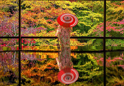 GIAPPONE FOLIAGE