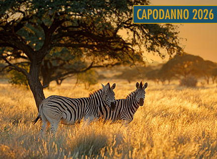 SUDAFRICA MY WAY