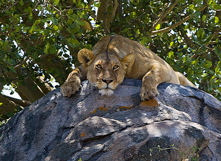 TANZANIA