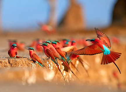 TANZANIA